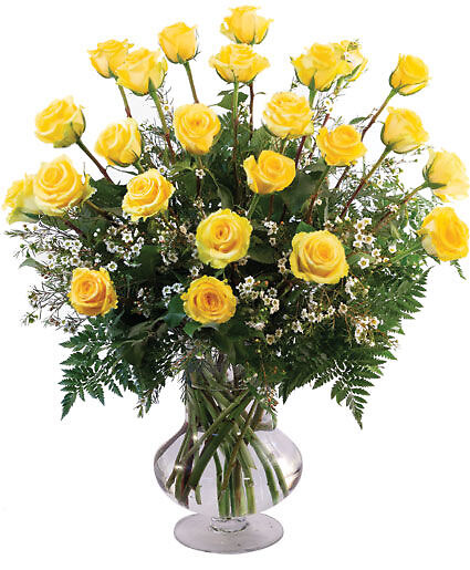 Two Dozen Yellow Roses